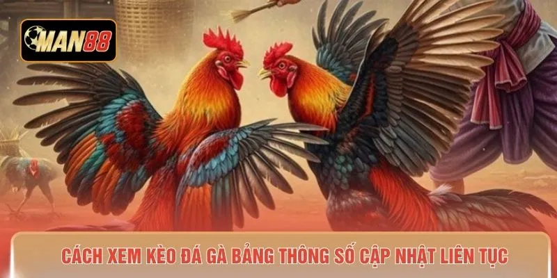 Cách xem kèo đá gà bảng thông số cập nhật liên tục