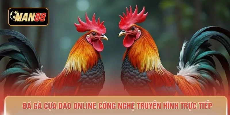 Đá gà cựa dao online công nghệ truyền hình trực tiếp