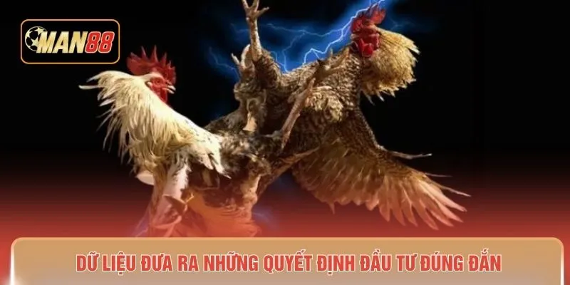 Dữ liệu đưa ra những quyết định đầu tư đúng đắn