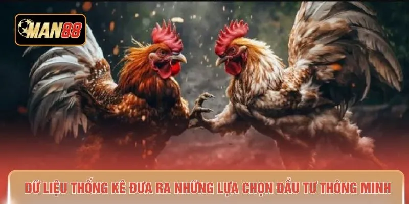 Dữ liệu thống kê đưa ra những lựa chọn đầu tư thông minh