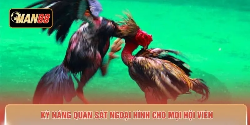 Kỹ năng quan sát ngoại hình cho mọi hội viên