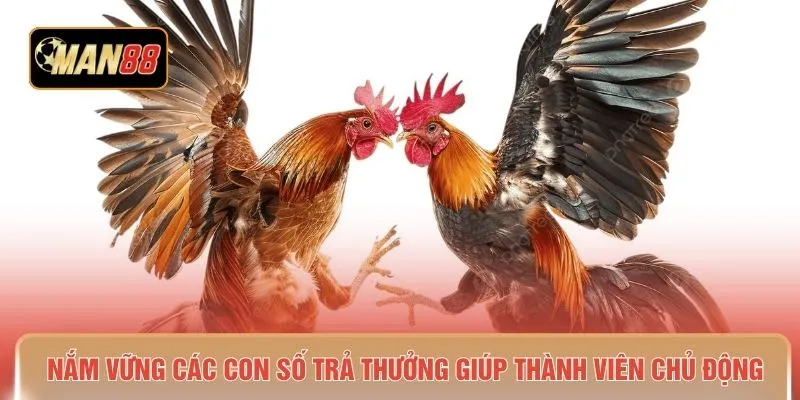 Nắm vững các con số trả thưởng giúp thành viên chủ động