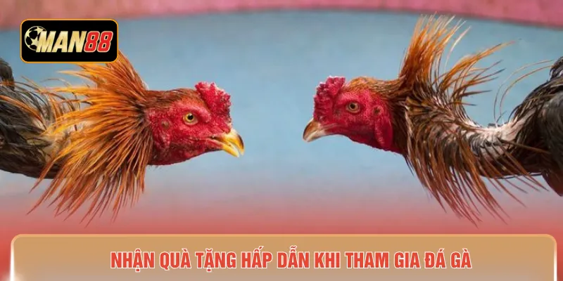Nhận quà tặng hấp dẫn khi tham gia đá gà 