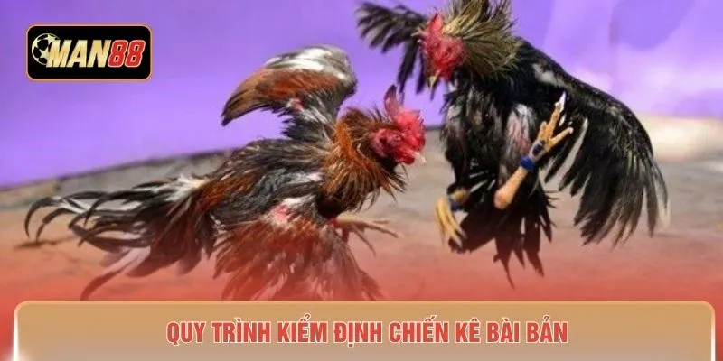 Quy trình kiểm định chiến kê bài bản