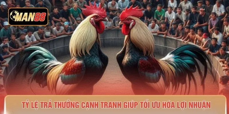 Tỷ lệ trả thưởng cạnh tranh giúp tối ưu hóa lợi nhuận